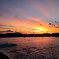 Palmetto Roofers ico