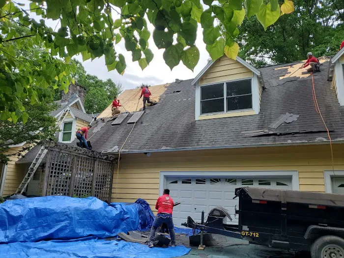 Ricardo's Alpha Roofing Picture 5