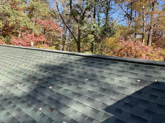 Ricardo's Alpha Roofing Picture 9