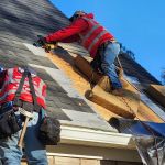 Ricardo's Alpha Roofing