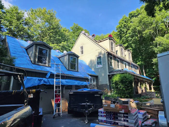 Ricardo's Alpha Roofing Picture 8