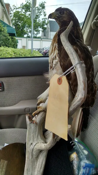 Esslinger Roofing Services Inc Picture 1