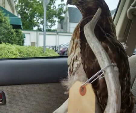 Esslinger Roofing Services Inc