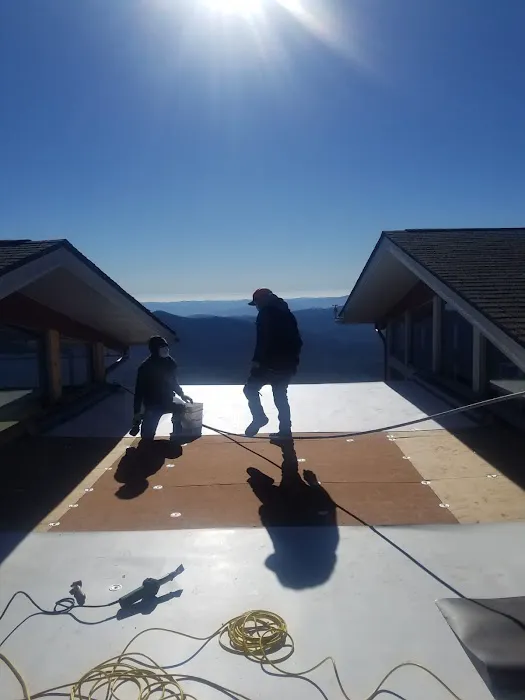 Carmen Roofing Picture 6