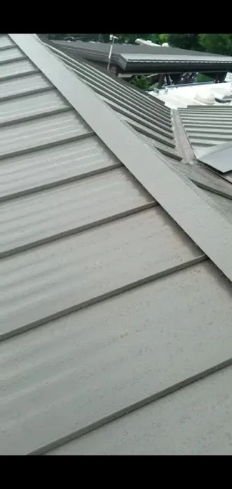 Carmen Roofing Picture 5