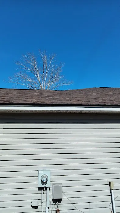 Beaver Roofing & Gutters Picture 6