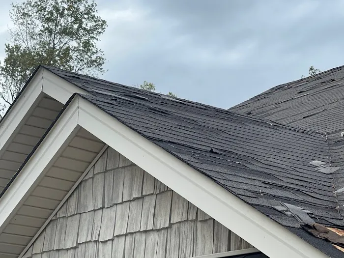 Mighty Dog Roofing of Columbia Picture 7