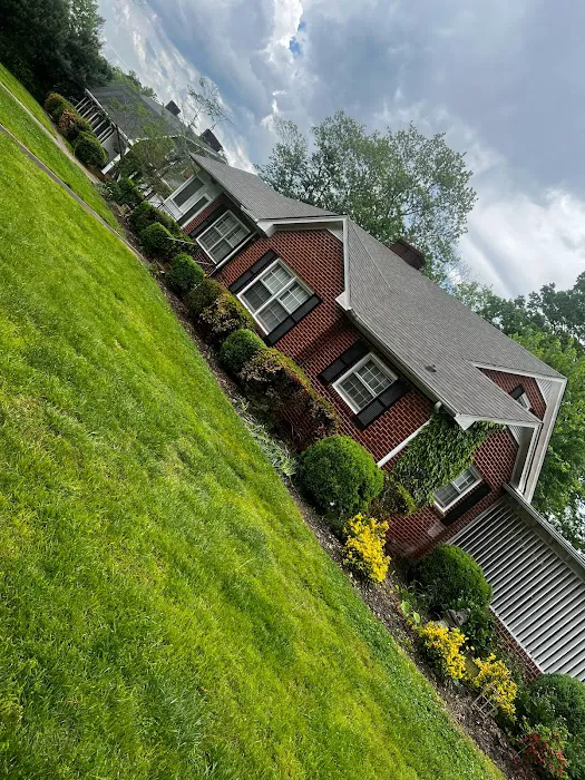 Infinity Roofing Picture 2