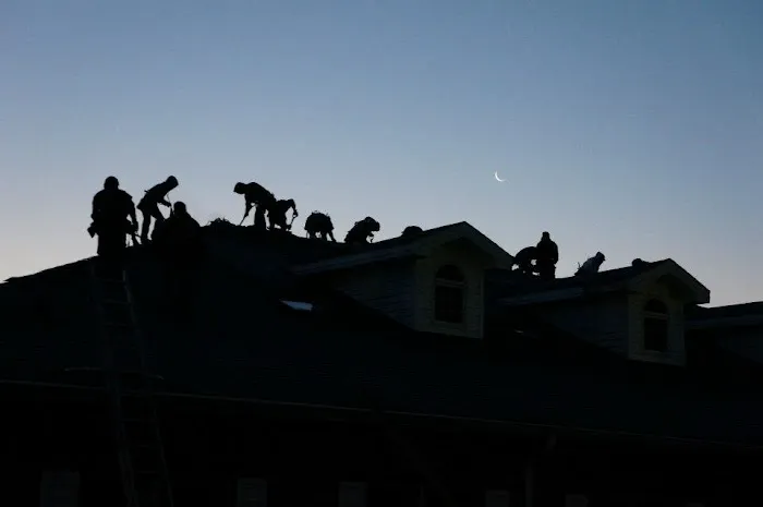 DLV Roofing Systems Picture 9