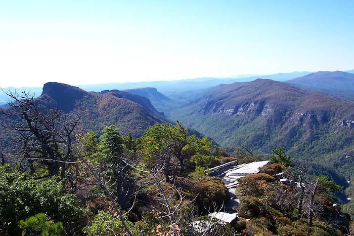 Roofing Brothers Picture 1