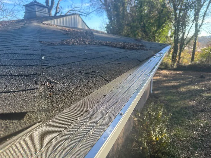 Home Remedy USA Roofing, Gutters & Windows Picture 4