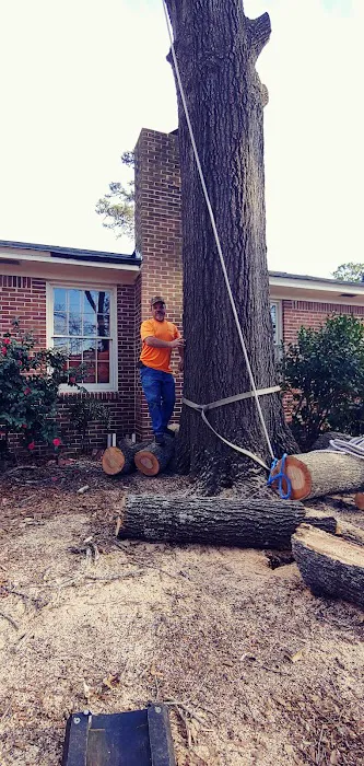 Mark's Roofing & Tree Service, LLC Picture 9
