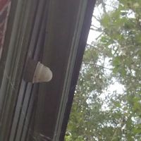 South Pointe Roofing ico