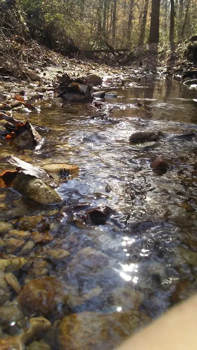 Max Baxter Roofing Picture 7