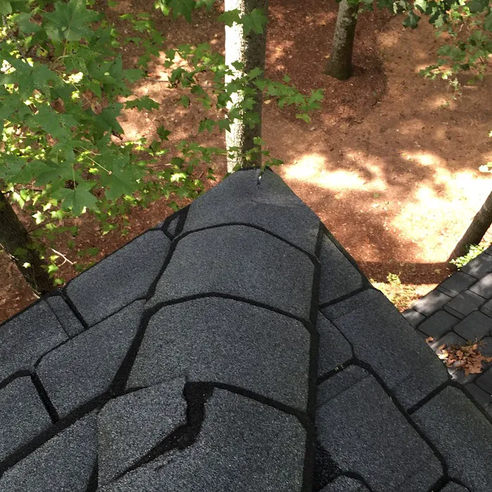 Bee Roofing Picture 5