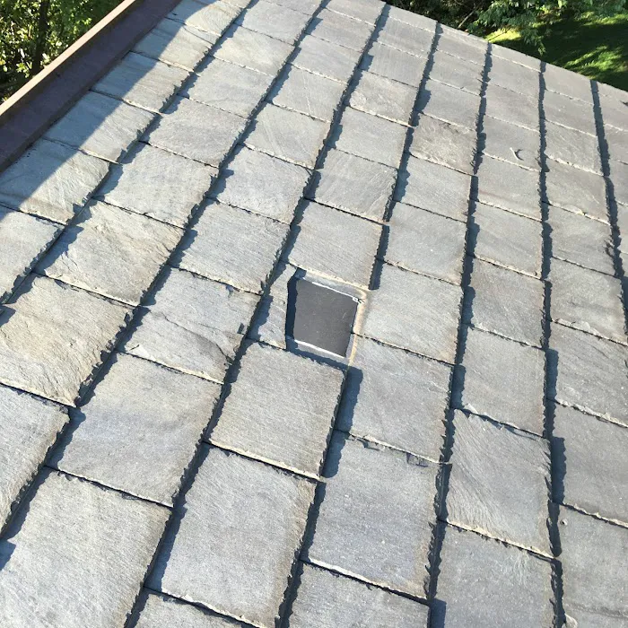 Bee Roofing Picture 4