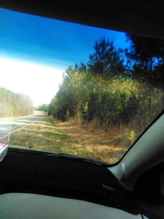 Benfield Roofing & Construction Inc Picture 5