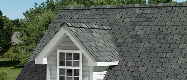 BCI Shingle Specialist Picture 1