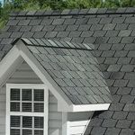 BCI Shingle Specialist