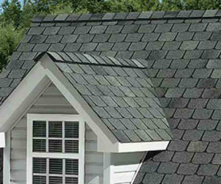 BCI Shingle Specialist