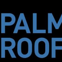 Palmetto Roofers ico