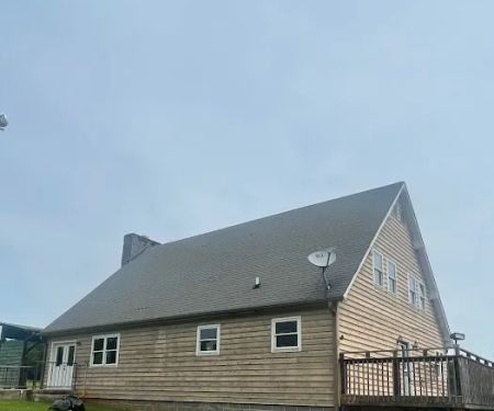 Top dog roofing