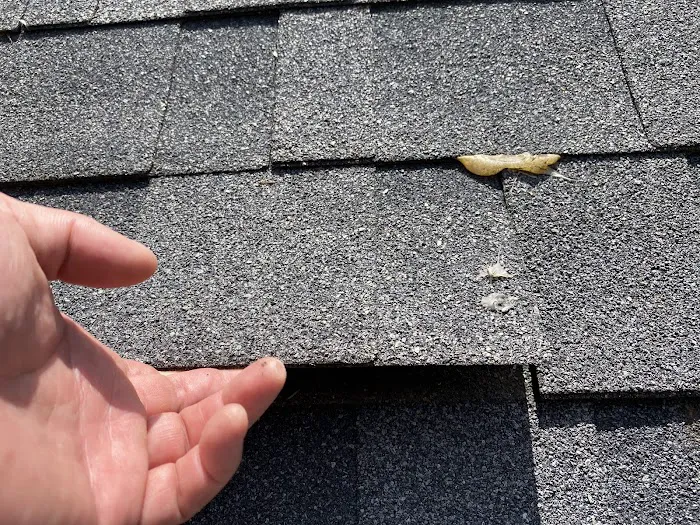 Blue Collar Roofing LLC Picture 7