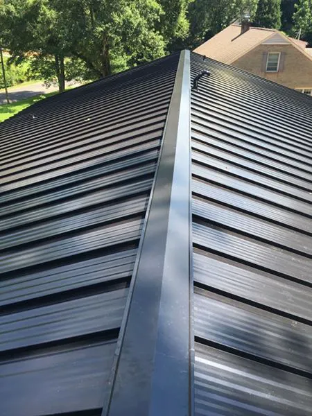 Palmetto Roofing Siding Gutters Picture 2