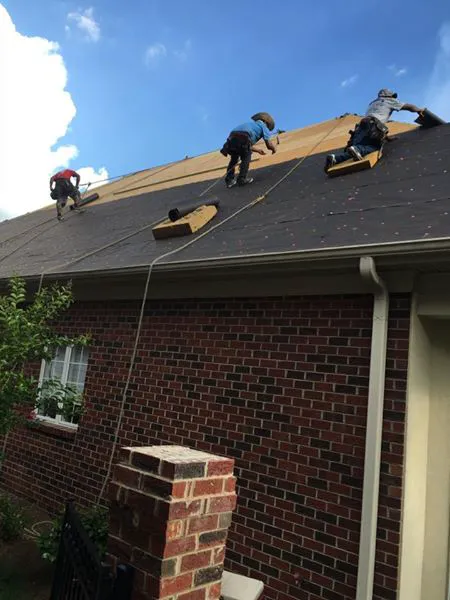 Palmetto Roofing Siding Gutters Picture 8