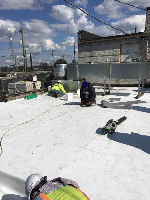 The Roofing Guy LLC Picture 4