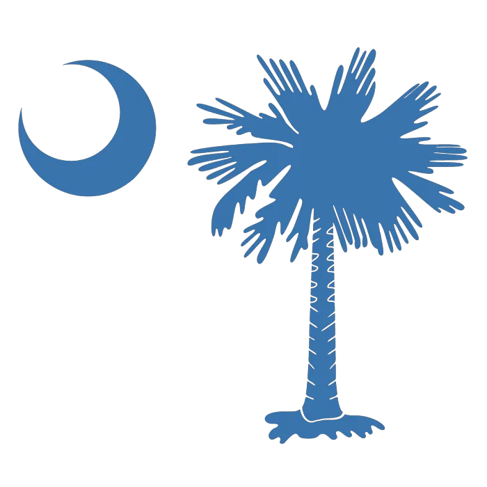 Palmetto Roofers Picture 3