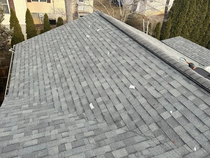 Black Bear Roofing Picture 5