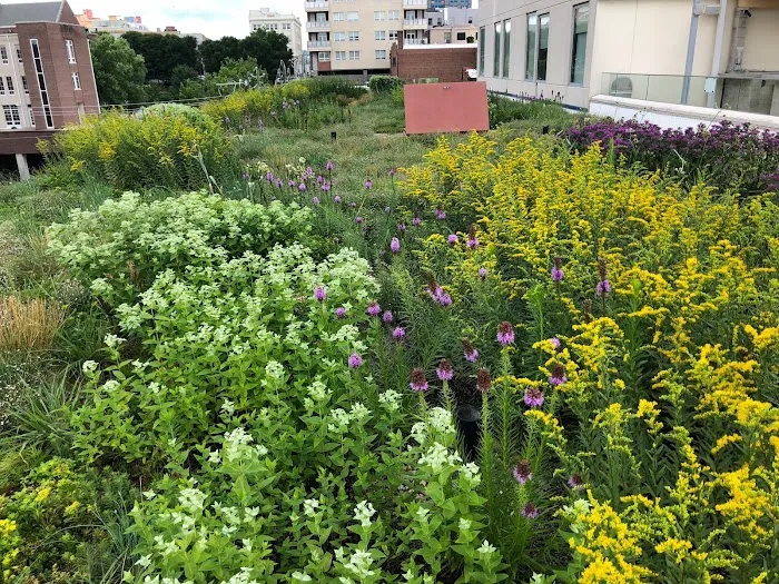 Living Roofs, Inc. Picture 8