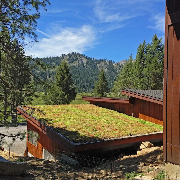 Living Roofs, Inc. Picture 2