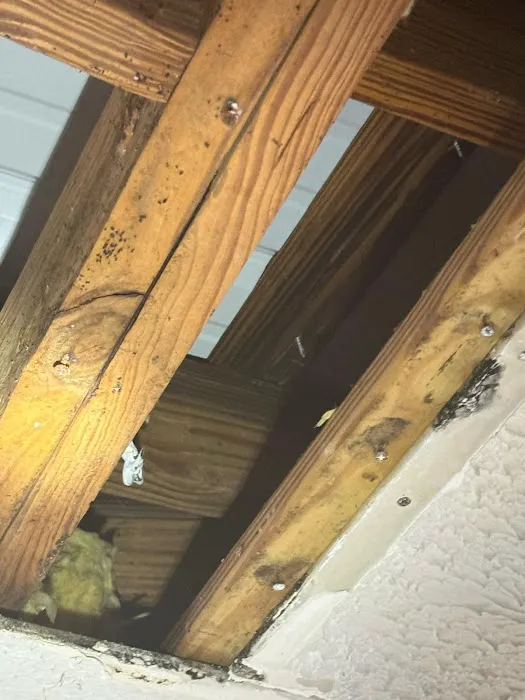 Roberts Metal Roofing Picture 4