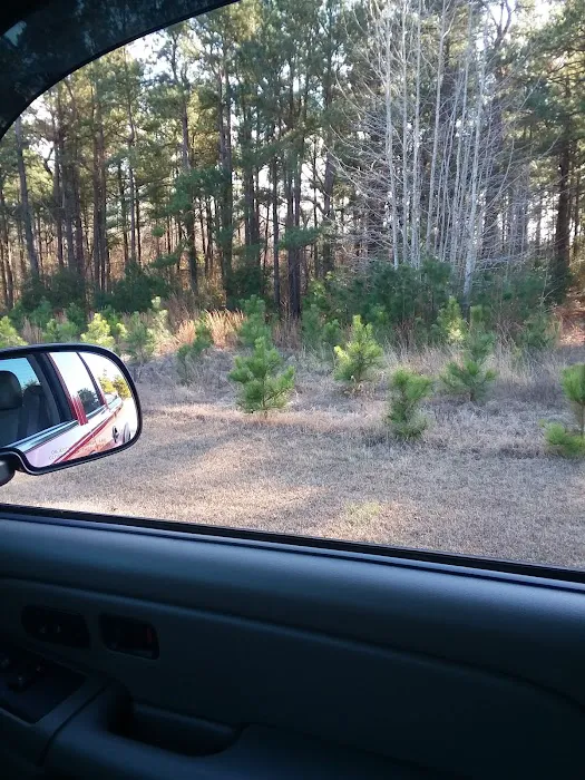 Hughes Home Repairs and Landscaping LLC Picture 2