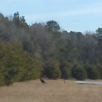 Hughes Home Repairs and Landscaping LLC ico