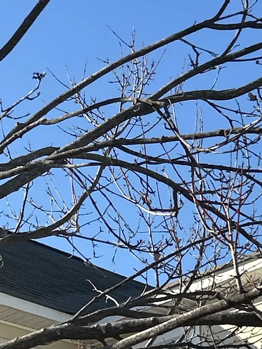 International Construction Services Picture 10