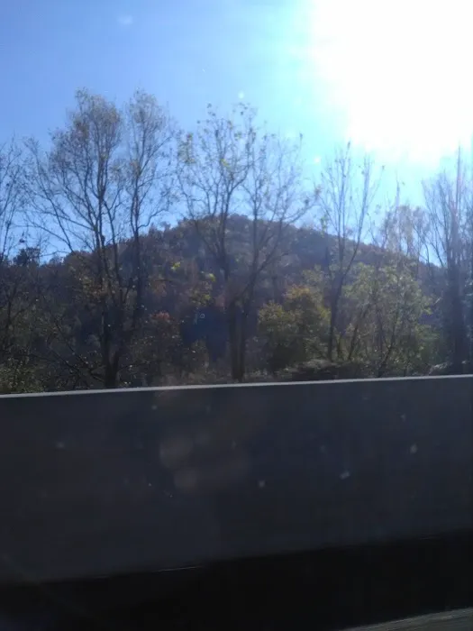 B C's Roofing Picture 4