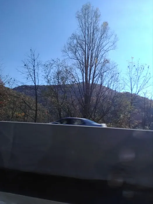 B C's Roofing Picture 5