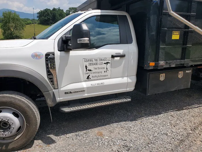 Squirrel Roofing LLC Picture 2