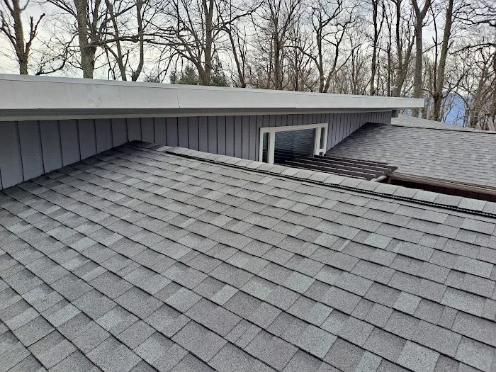 In&Out Roofing Picture 7