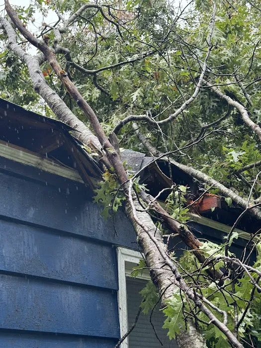 Roof Worx Inc. Picture 6