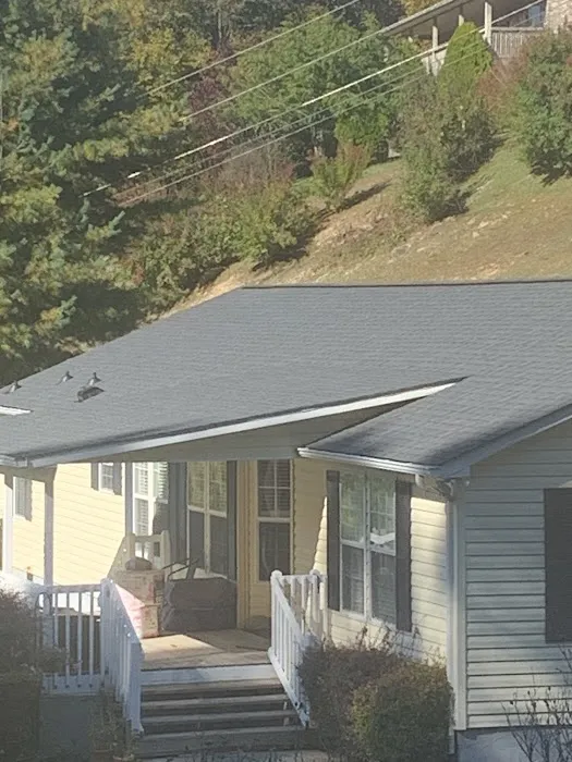 Blue Sky Roofing Picture 5