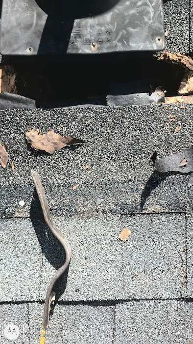 Henderson Roofing & Repairs Picture 8