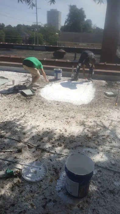 Henderson Roofing & Repairs Picture 9