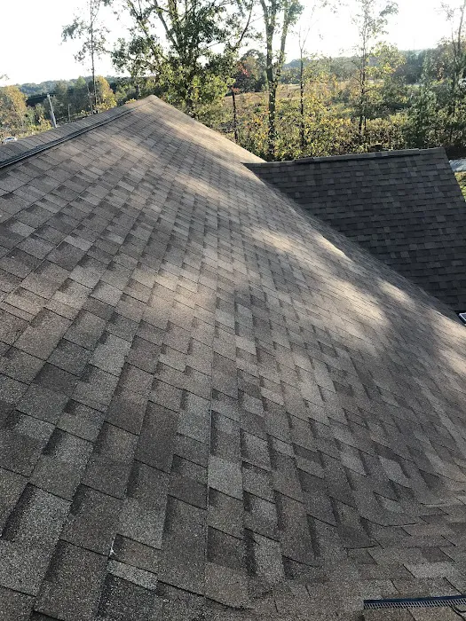 PTN Roofing Picture 5