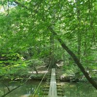 Summit BSR Roofing ico