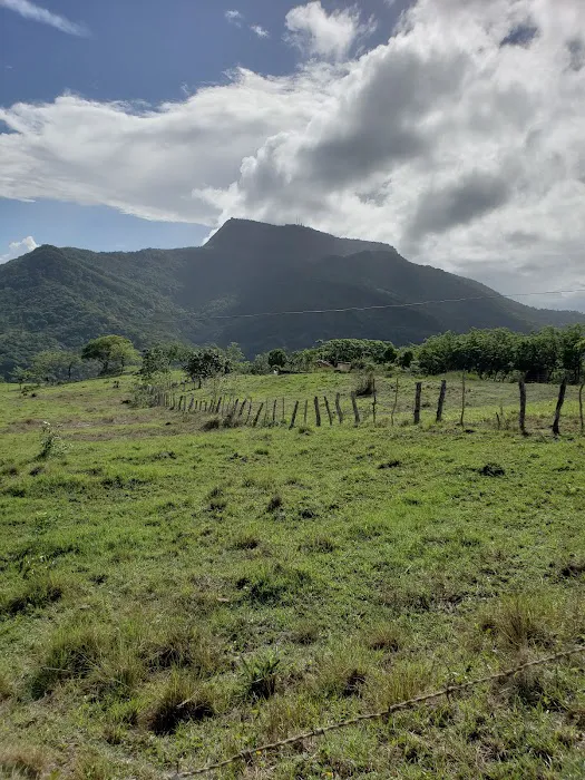 Reliable Roofing & Exteriors Picture 10