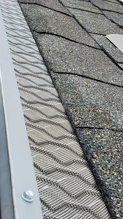 Red Fox & Son's Seamless Gutters Picture 4